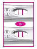 FIRST RESPONSE™ Early Result Pregnancy Test - How to Read